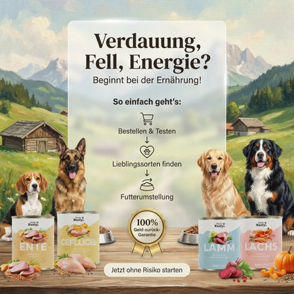 Kaninchen mit Pastinake, Spinat und Buchweizen